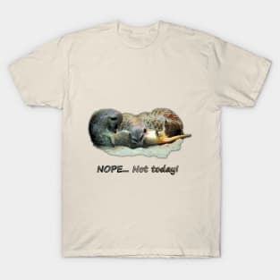 Not today! T-Shirt